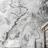 白銀の別世界、大阪金剛山登山。山頂にある転法輪寺の雪景色が超絶に神秘的だった。