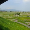 カモミール・ピンク玉合同リンゴの花見吟行句会