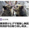 【クマイシス？！＝頻発するクマ被害……11/18ー22 ヒグマ駆除の猟友会依存が限界 期待の「職員ハンター」には課題も/】＃597