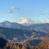 高尾山へ早朝登山。登山も良いトレーニングです。