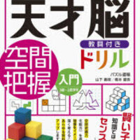 天才脳ドリル数量感覚 初級が終わりました 年長娘 ずぼら母の育児メモ 23年中学受験 幼児教育