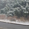 和歌山北部も雪