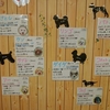 保護犬パーク長居店　2019.2.2