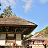 地元の紅葉 2020 ～ 檜尾山 観心寺 Ⅵ