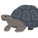 turtle blog