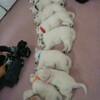 笑いの神様が・・・
