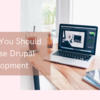 Why You Should Choose Drupal Development