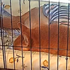 お休みナウ、だよ