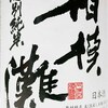 相模灘の新酒で新年だった