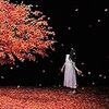 Aimer（エメ）のシングル「茜さす／everlasting snow」