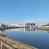 （巻四十三）西よりの貨物列車や秋の暮(沖省三)