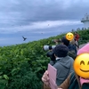 【天売・焼尻⑤】海鳥の聖地で羽休め〜海鳥飛び交う宵の口〜