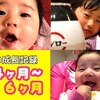 1月15日の動画