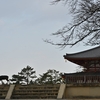 冬の早朝の奈良公園を歩く