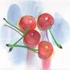 水彩画　サクランボ