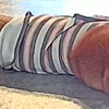 和むな～、だよ