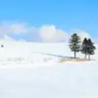 北海道現地情報