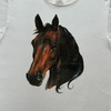 1529 馬！ ビンテージTシャツ ジャージーズ 80's90's VINTAGE T SHIRT HORSE