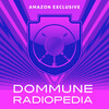 DOMMUNE RADIOPEDIA」〜超文化大百科　オルタナティヴカルチャー・ラボラトリー