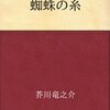 蜘蛛の糸がみせたわずかな希望～あるいは御釈迦様の気紛れが生んだ悲劇－芥川龍之介「蜘蛛の糸」