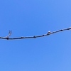 自分への指示
