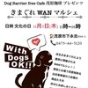 もうすぐ 11/3文化の日は 第二回 きまぐれWANマルシェ】11時~スタート  Dog Barrier free Cafe 茂原珈琲