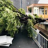 【防災の日】大きな地震や台風を経験して感じた、災害の備えに大事な物や事。