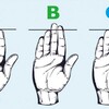 指の長さで性格が解る！？