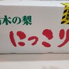 【超巨大】栃木の梨は一味違う！巨大梨「にっこり」って知ってる？