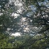 それ、逆効果？（5）