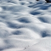 雪原