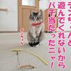 バイクが死にました。これはテンちゃんの呪い？