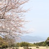 日本平ホテルからの富士山と桜