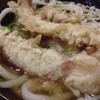 ゲソ天ぷら讃岐うどん