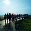 【台湾旅行】アジアのウユニ塩湖「高美湿地」に行ってきたよ！