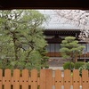 佛陀寺の桜と阿弥陀寺の桜。