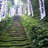 新緑の　キラキラ光る　雨上がり