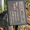 万葉歌碑を訪ねて（その１９２６，１９２７）―、松山市御幸町　護国神社・万葉苑（９１、９２）―万葉集　巻十六　三八二六、巻十一　二四八〇