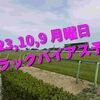 2023,10,9 月曜日 トラックバイアス予想 (東京競馬場、京都競馬場)