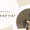 チンチラのうんちで正常なのは？適切な色や量について