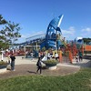 子ども連れで楽しむ福岡の「海の中道海浜公園」！ファミリーにおすすめの過ごし方と我が家の定番コース