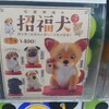 招き犬…