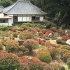 遠州庭園巡り。龍潭寺庭園、長楽寺庭園、実相寺庭園、満光寺庭園 / 浜松・静岡の街中散歩。しりあがり寿『もういいら。』展 など