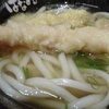 海老天ぷら　讃岐うどん