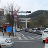 2012年　元旦の照国神社と渋滞