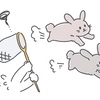 二兎を追うものは？✨