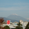 東京散策（柴又、浅草、上野）　➪　忘年同窓会