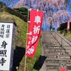 宮沢賢治ゆかりの地・身照寺で桜の絶景を！幻想的な夜桜ライトアップも必見