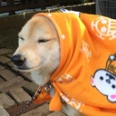 なみっきーのメモ帳