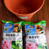 【観葉植物】鉢変えと買い忘れ